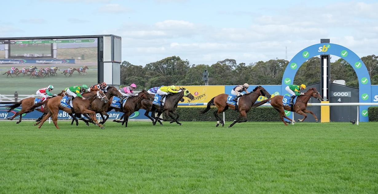 Regal Zeus - Sandown 26th December 2025